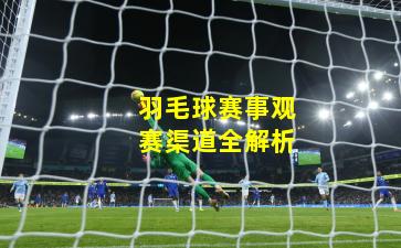 羽毛球赛事观赛渠道全解析