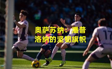 奥萨苏纳：潘普洛纳的坚韧旗帜